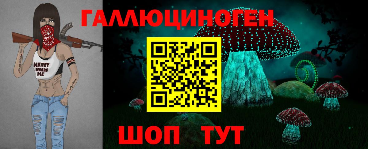 Псилоцибиновые грибы Psilocybe  Вход с VPN  Баксан 